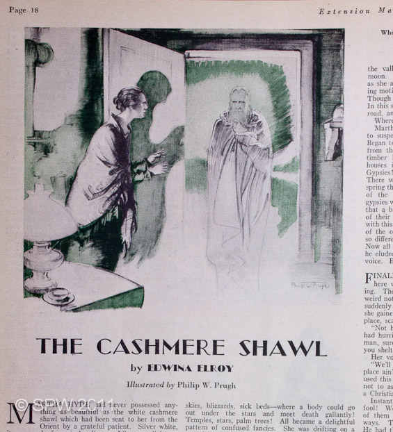 The Cashmere Shawl (PWP-407)